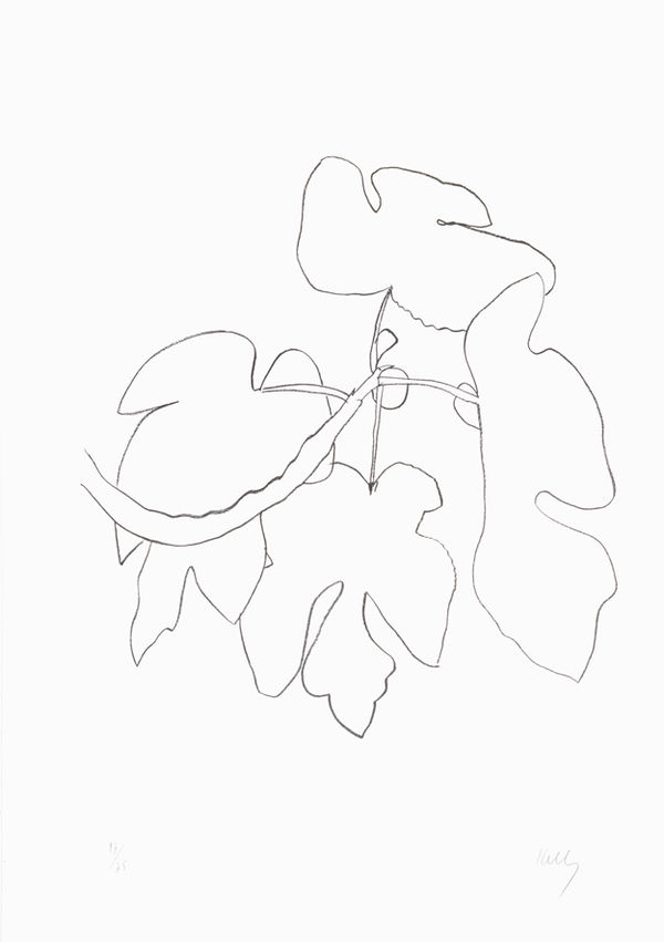 Fig Branch (Figue) 1965-66 Lithograph on Rives BFK paper | Edition of 75 87.6 x 61 cm paper size